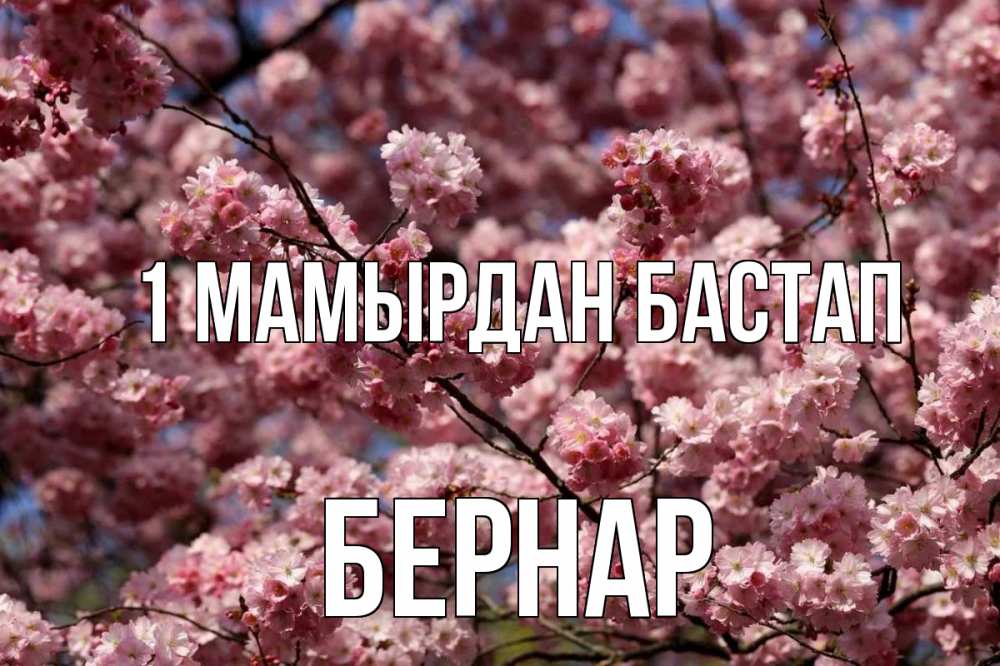 Күн сайын ашық хат с именем, Бернар 1 мамырдан бастап С 1 мая Онлайн тегін жүктеп алу тілектері бар керемет карта 