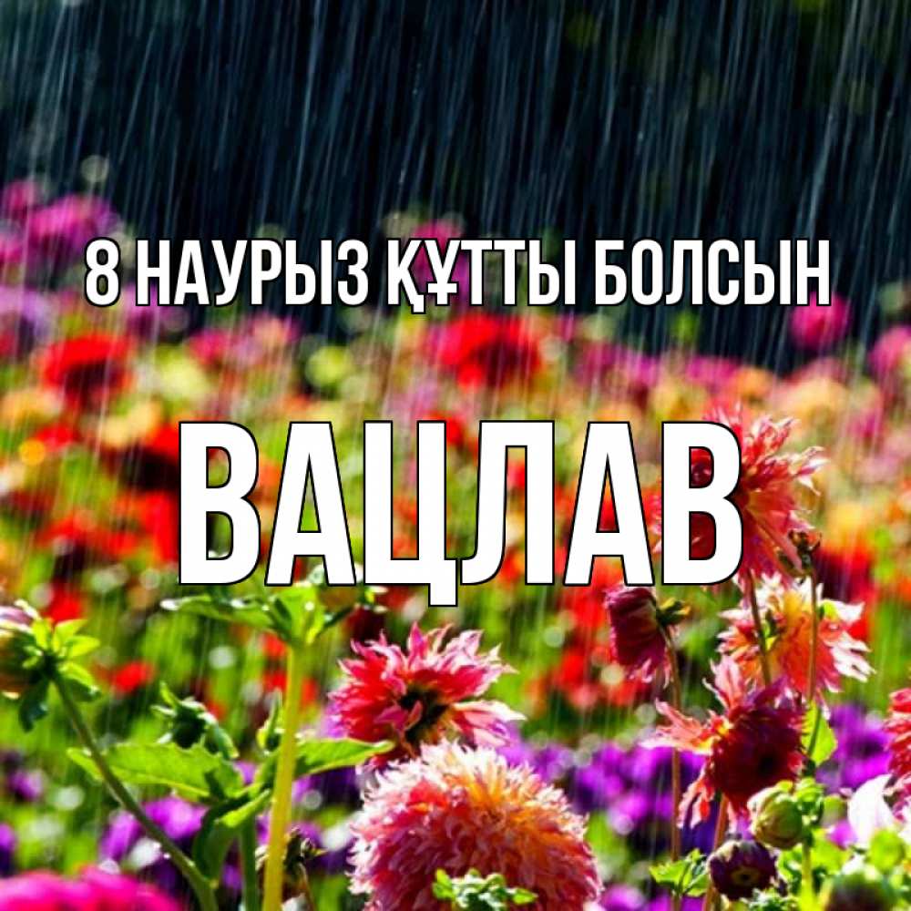 Күн сайын ашық хат с именем, Вацлав 8 наурыз құтты болсын цветы под дождиком к международному женскому дню Онлайн тегін жүктеп алу тілектері бар керемет карта 