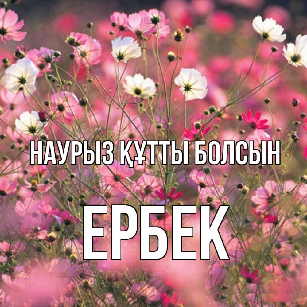 Күн сайын ашық хат с именем, Ербек Наурыз құтты болсын красиво 1 Онлайн тегін жүктеп алу тілектері бар керемет карта 