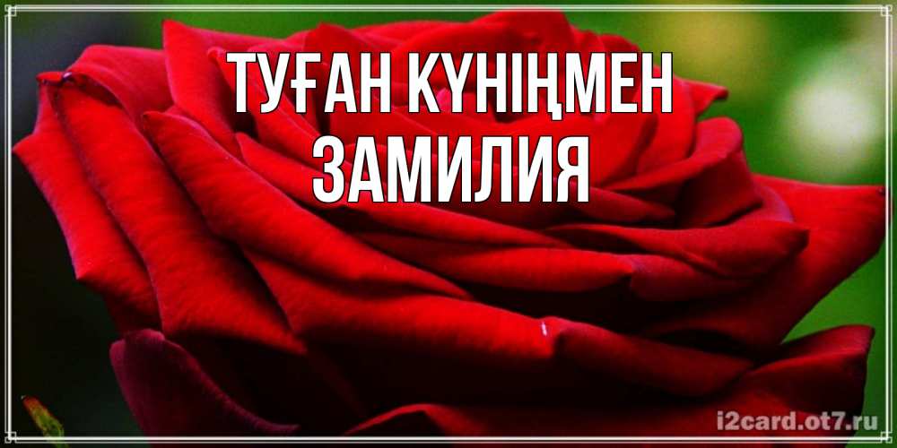 Күн сайын ашық хат с именем, ЗАМИЛИЯ Туған күніңмен розочка очень красивая Онлайн тегін жүктеп алу тілектері бар керемет карта 