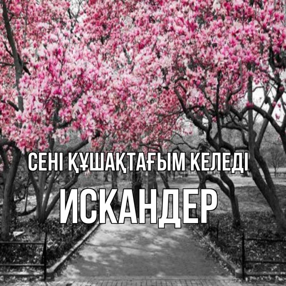 Күн сайын ашық хат с именем, Искандер сені құшақтағым келеді обработанное фото Онлайн тегін жүктеп алу тілектері бар керемет карта 