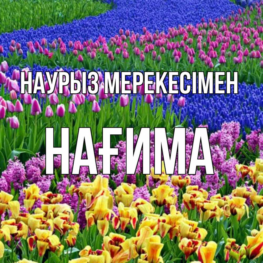 Күн сайын ашық хат с именем, НАҒИМА Наурыз мерекесімен цветы Онлайн тегін жүктеп алу тілектері бар керемет карта 