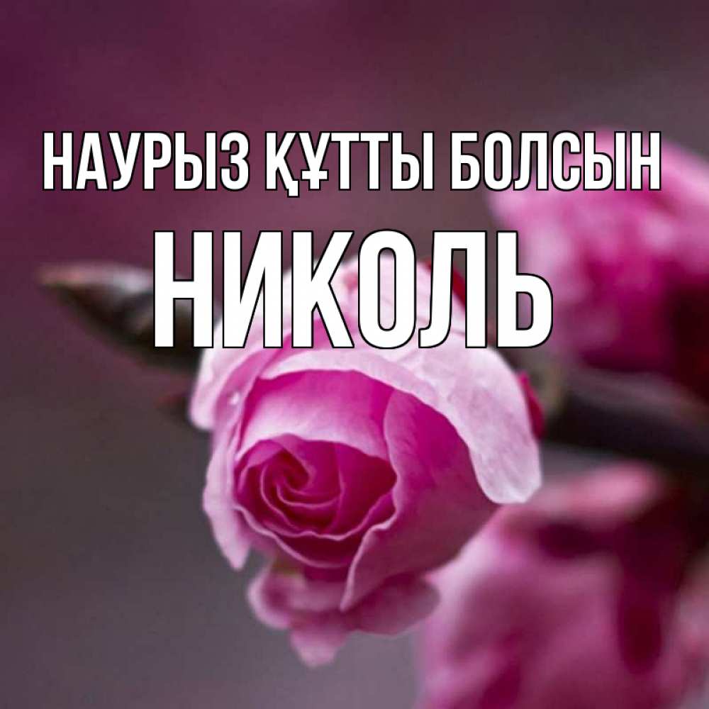 Күн сайын ашық хат с именем, Николь Наурыз құтты болсын весна Онлайн тегін жүктеп алу тілектері бар керемет карта 