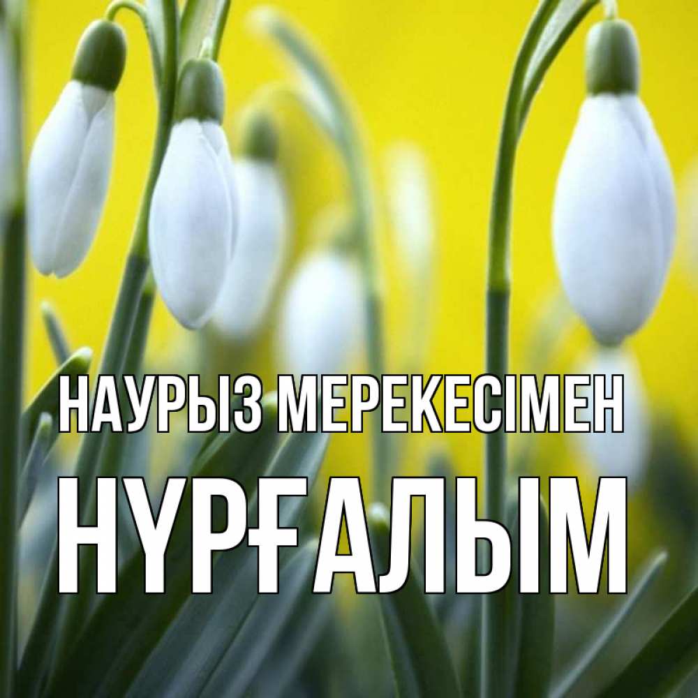 Күн сайын ашық хат с именем, НҮРҒАЛЫМ Наурыз мерекесімен весенние цветы Онлайн тегін жүктеп алу тілектері бар керемет карта 