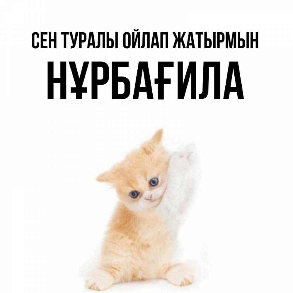 Күн сайын ашық хат с именем, НҰРБАҒИЛА Сен туралы ойлап жатырмын зверушки и милота Онлайн тегін жүктеп алу тілектері бар керемет карта 