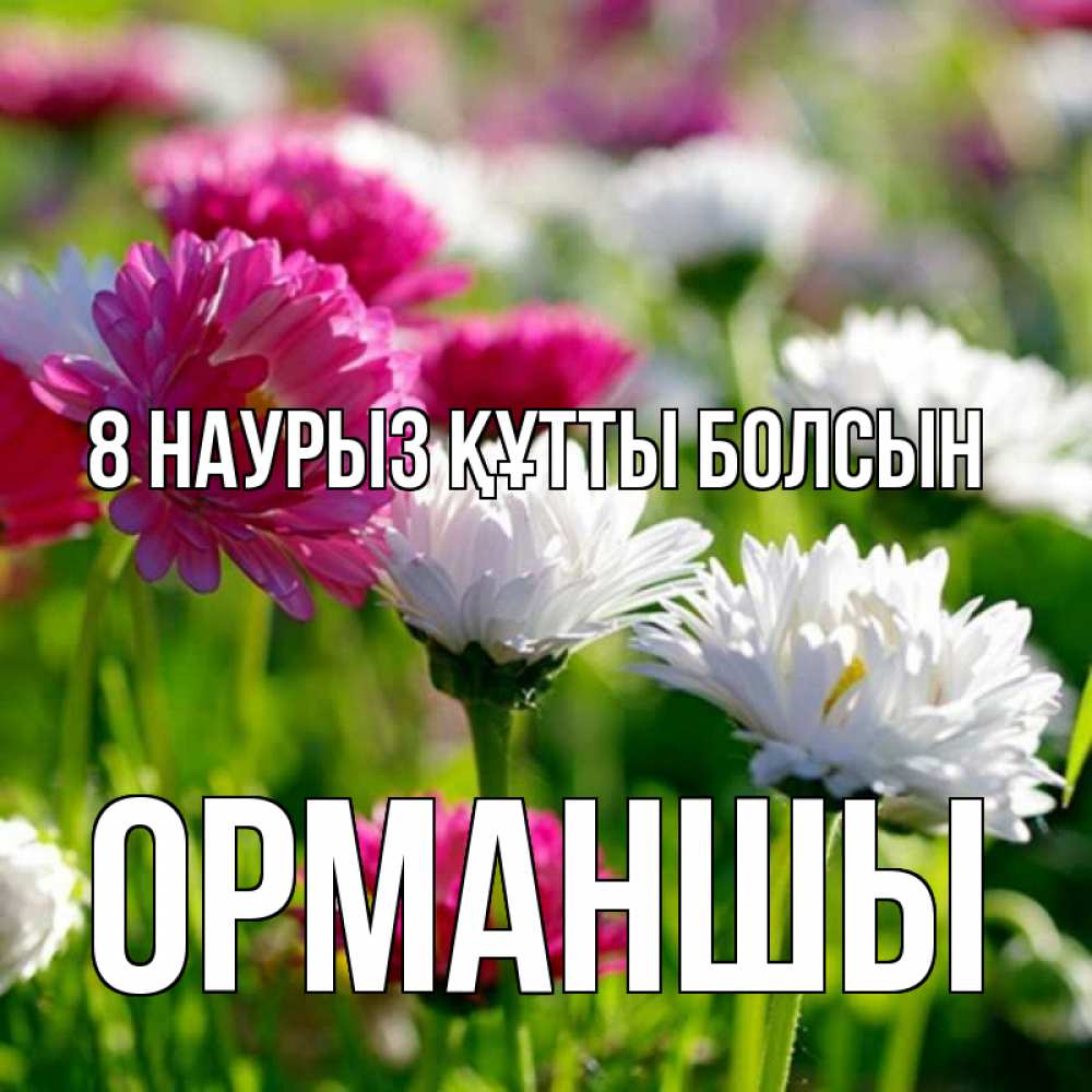 Күн сайын ашық хат с именем, ОРМАНШЫ 8 наурыз құтты болсын международный женский день 1 Онлайн тегін жүктеп алу тілектері бар керемет карта 