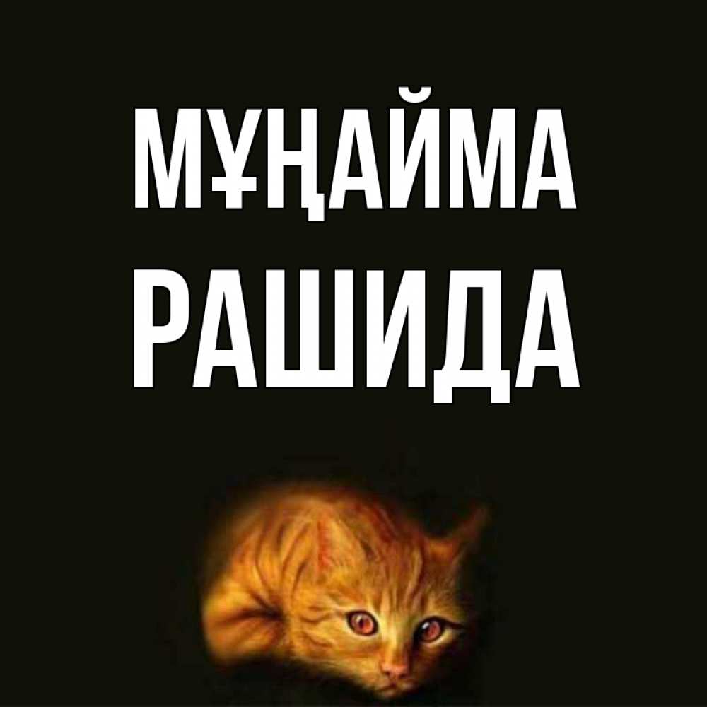 Күн сайын ашық хат с именем, РАШИДА Мұңайма лежащий кот в темноте Онлайн тегін жүктеп алу тілектері бар керемет карта 