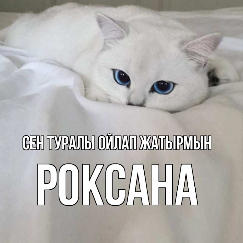 Күн сайын ашық хат с именем, Роксана Сен туралы ойлап жатырмын я очень по тебе скучаю и тоскую Онлайн тегін жүктеп алу тілектері бар керемет карта 