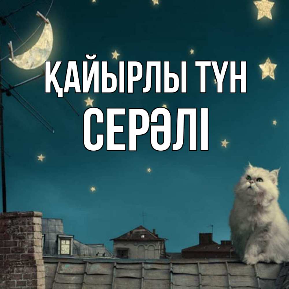 Күн сайын ашық хат с именем, СЕРӘЛІ Қайырлы түн белый кот сидит на крыше Онлайн тегін жүктеп алу тілектері бар керемет карта 