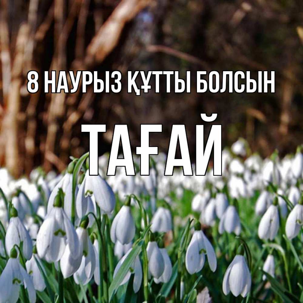 Күн сайын ашық хат с именем, ТАҒАЙ 8 наурыз құтты болсын с подснежниками 1 Онлайн тегін жүктеп алу тілектері бар керемет карта 