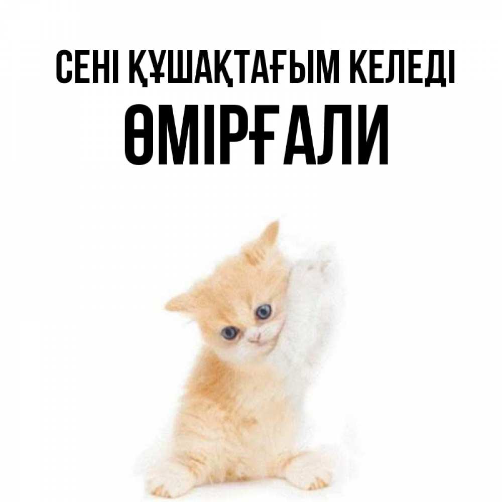 Күн сайын ашық хат с именем, ӨМІРҒАЛИ сені құшақтағым келеді я хочу очень скорее обнимаешек Онлайн тегін жүктеп алу тілектері бар керемет карта 