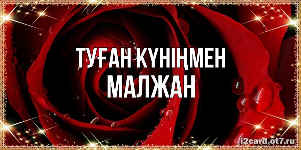 Күн сайын ашық хат с именем, МАЛЖАН Туған күніңмен цветок в росе на день рождения Онлайн тегін жүктеп алу тілектері бар керемет карта 