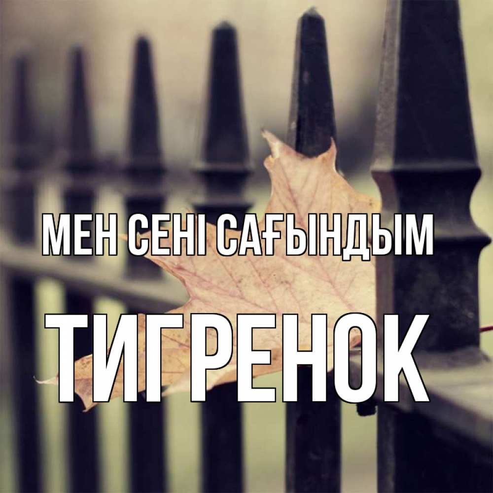Күн сайын ашық хат с именем, Тигренок Мен сені сағындым очень скучно Онлайн тегін жүктеп алу тілектері бар керемет карта 