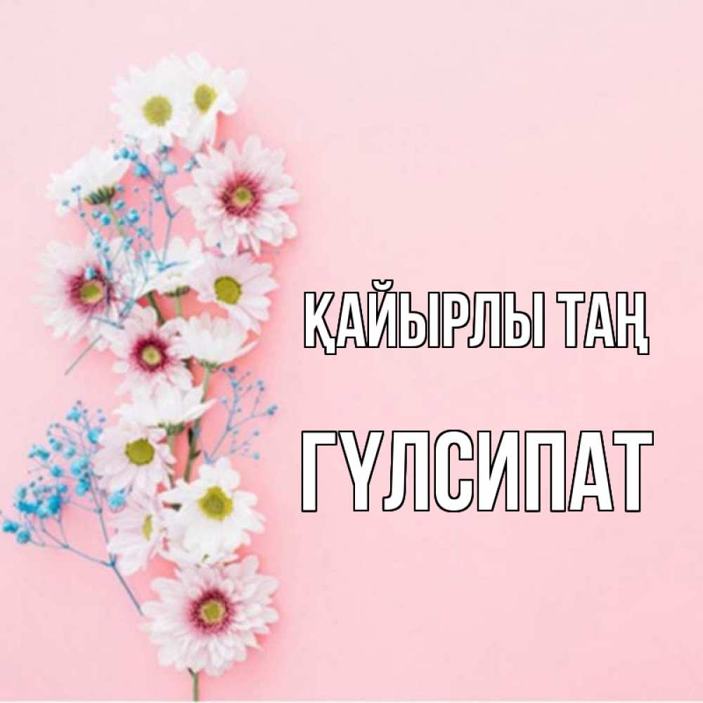 Күн сайын ашық хат с именем, ГҮЛСИПАТ Қайырлы таң цветы с подписью Онлайн тегін жүктеп алу тілектері бар керемет карта 