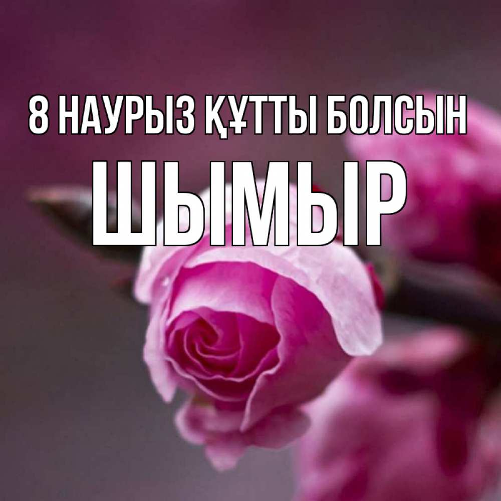 Күн сайын ашық хат с именем, ШЫМЫР 8 наурыз құтты болсын весна Онлайн тегін жүктеп алу тілектері бар керемет карта 