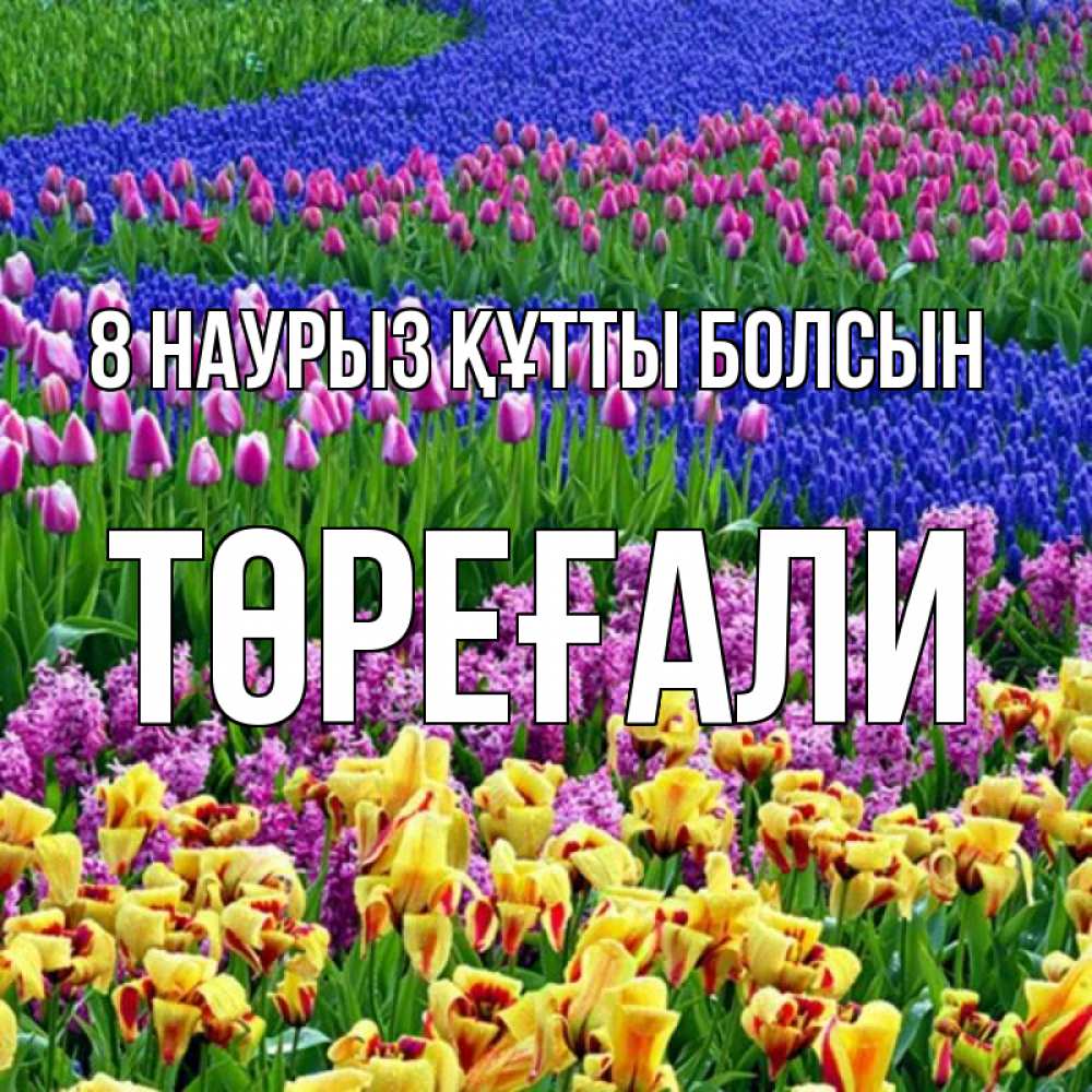 Күн сайын ашық хат с именем, Төреғали 8 наурыз құтты болсын цветы Онлайн тегін жүктеп алу тілектері бар керемет карта 