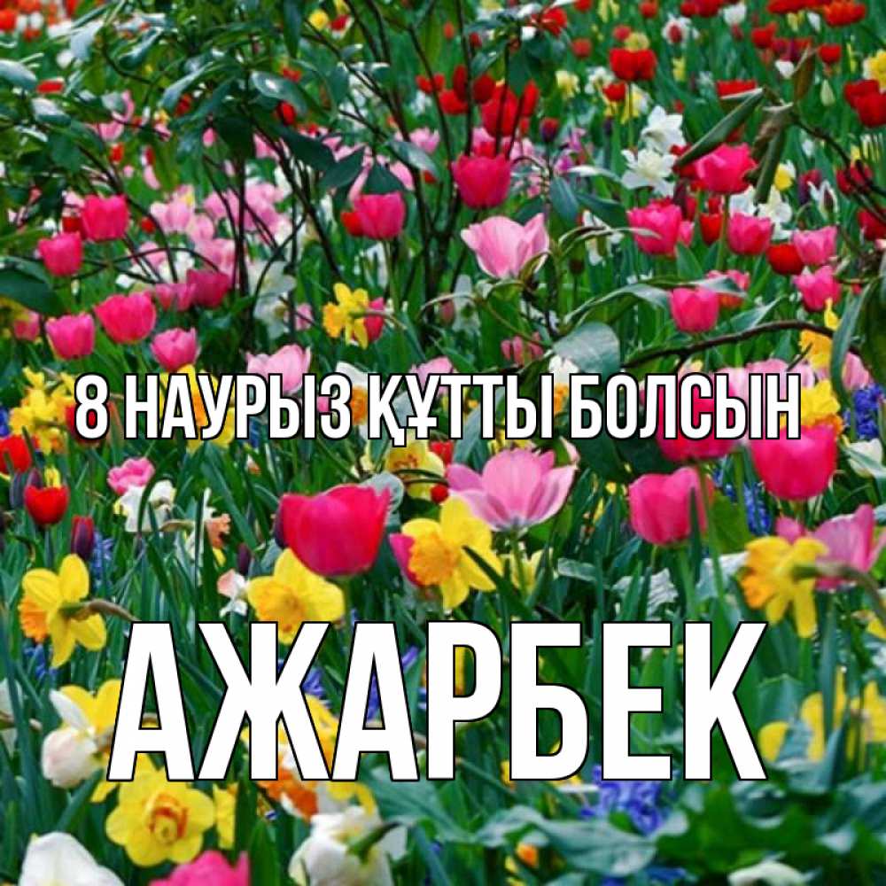 Күн сайын ашық хат с именем, Ажарбек 8 наурыз құтты болсын с международным женским днем поздравления для женщины Онлайн тегін жүктеп алу тілектері бар керемет карта 