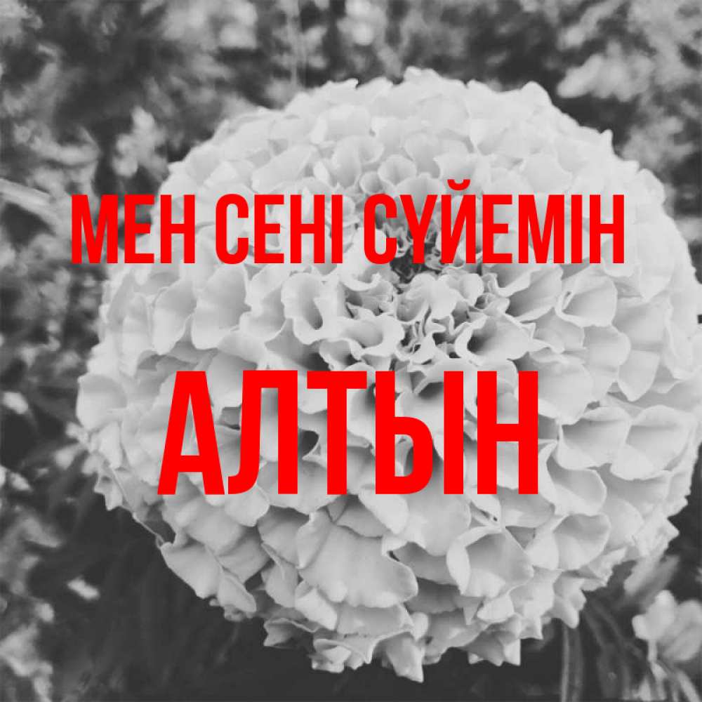 Күн сайын ашық хат с именем, АЛТЫН Мен сені сүйемін подпись Онлайн тегін жүктеп алу тілектері бар керемет карта 