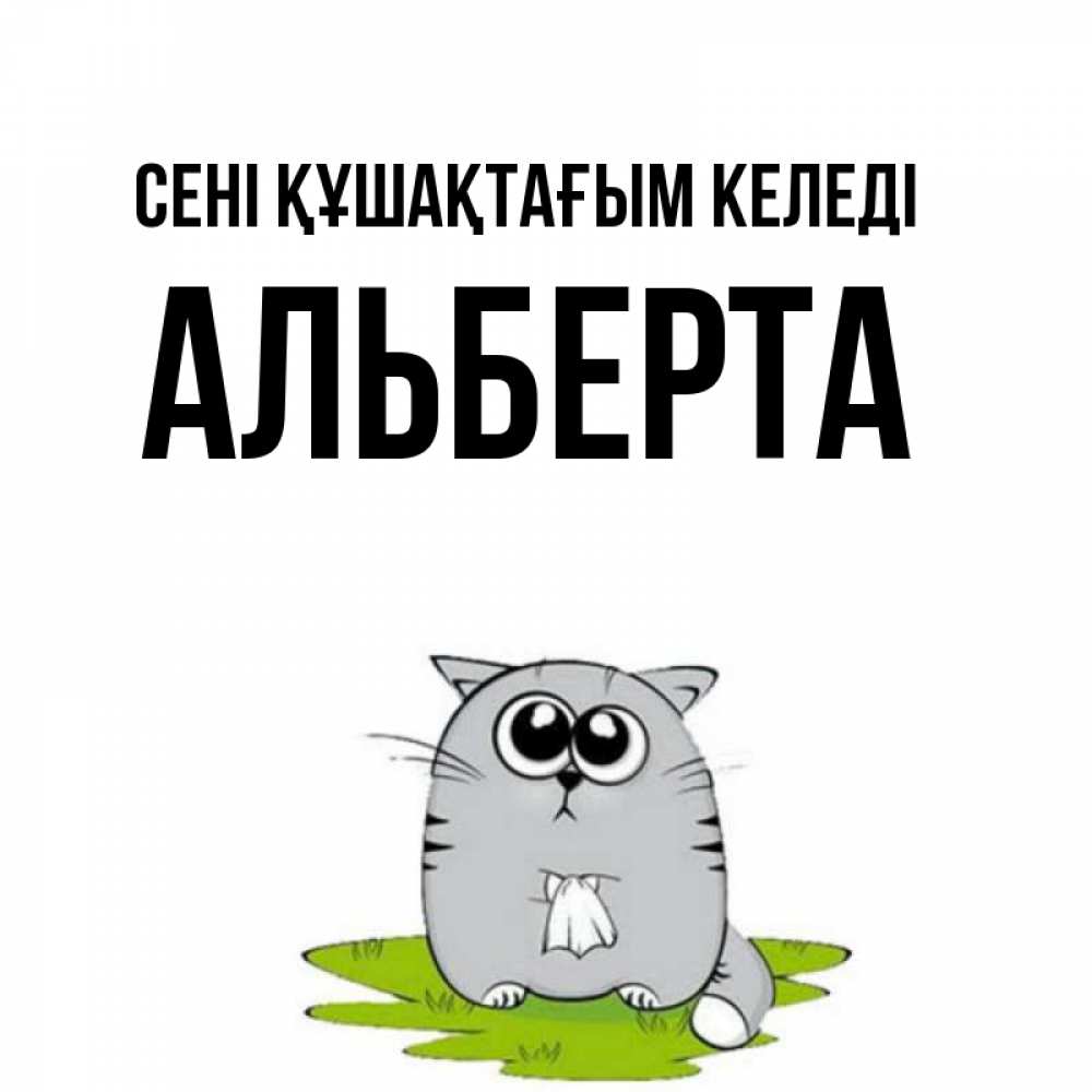 Күн сайын ашық хат с именем, Альберта сені құшақтағым келеді котик теребит платочек сидя на травке Онлайн тегін жүктеп алу тілектері бар керемет карта 
