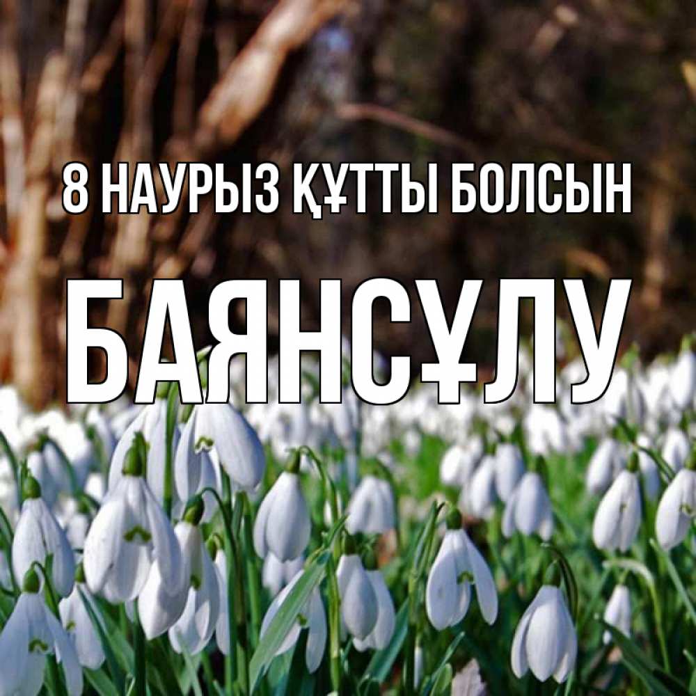Күн сайын ашық хат с именем, БАЯНСҰЛУ 8 наурыз құтты болсын с подснежниками 1 Онлайн тегін жүктеп алу тілектері бар керемет карта 