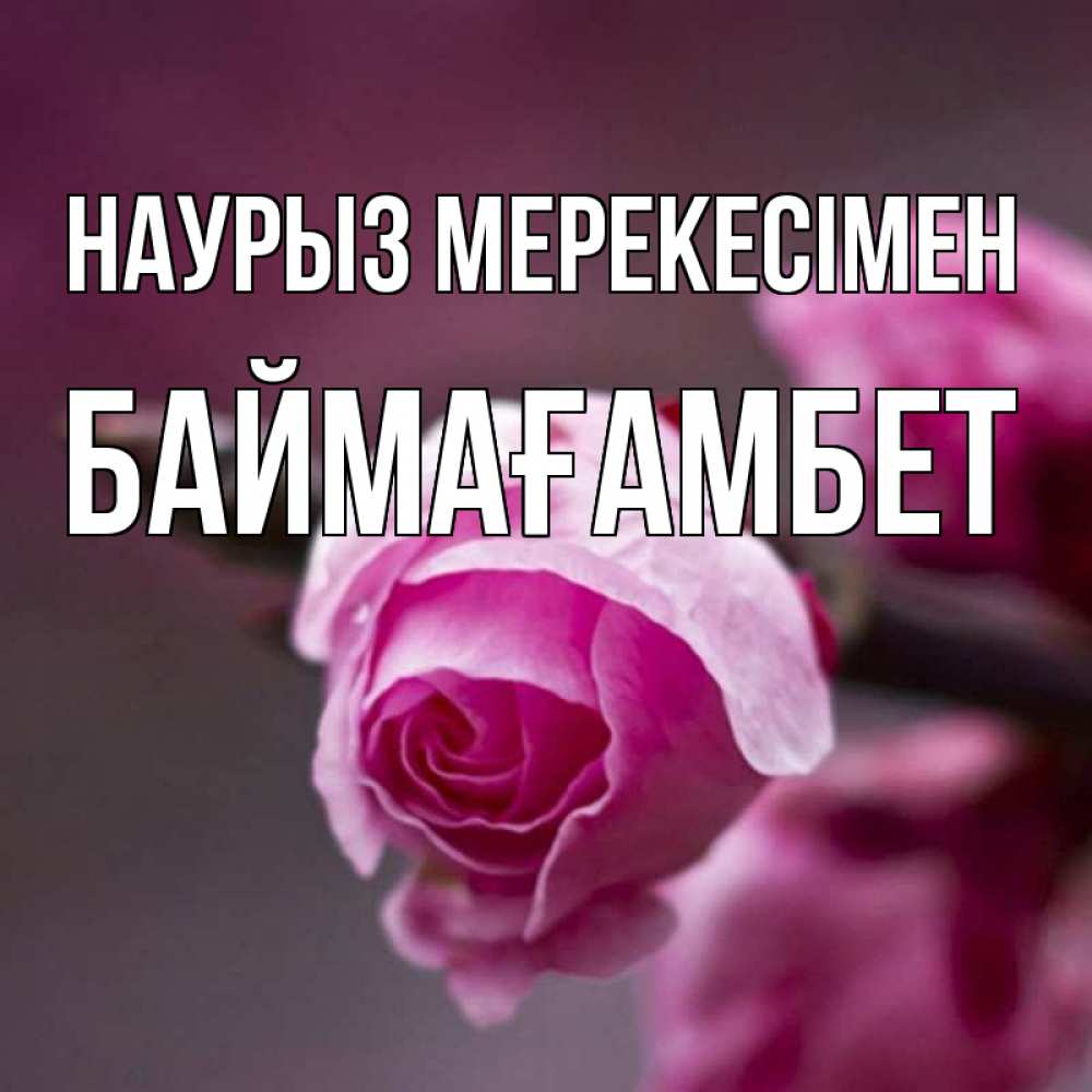 Күн сайын ашық хат с именем, Баймағамбет Наурыз мерекесімен весна Онлайн тегін жүктеп алу тілектері бар керемет карта 