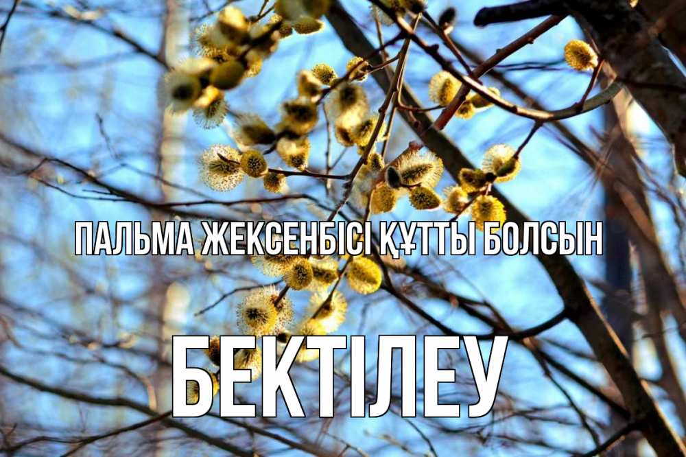 Күн сайын ашық хат с именем, Бектілеу Пальма жексенбісі құтты болсын верба Онлайн тегін жүктеп алу тілектері бар керемет карта 