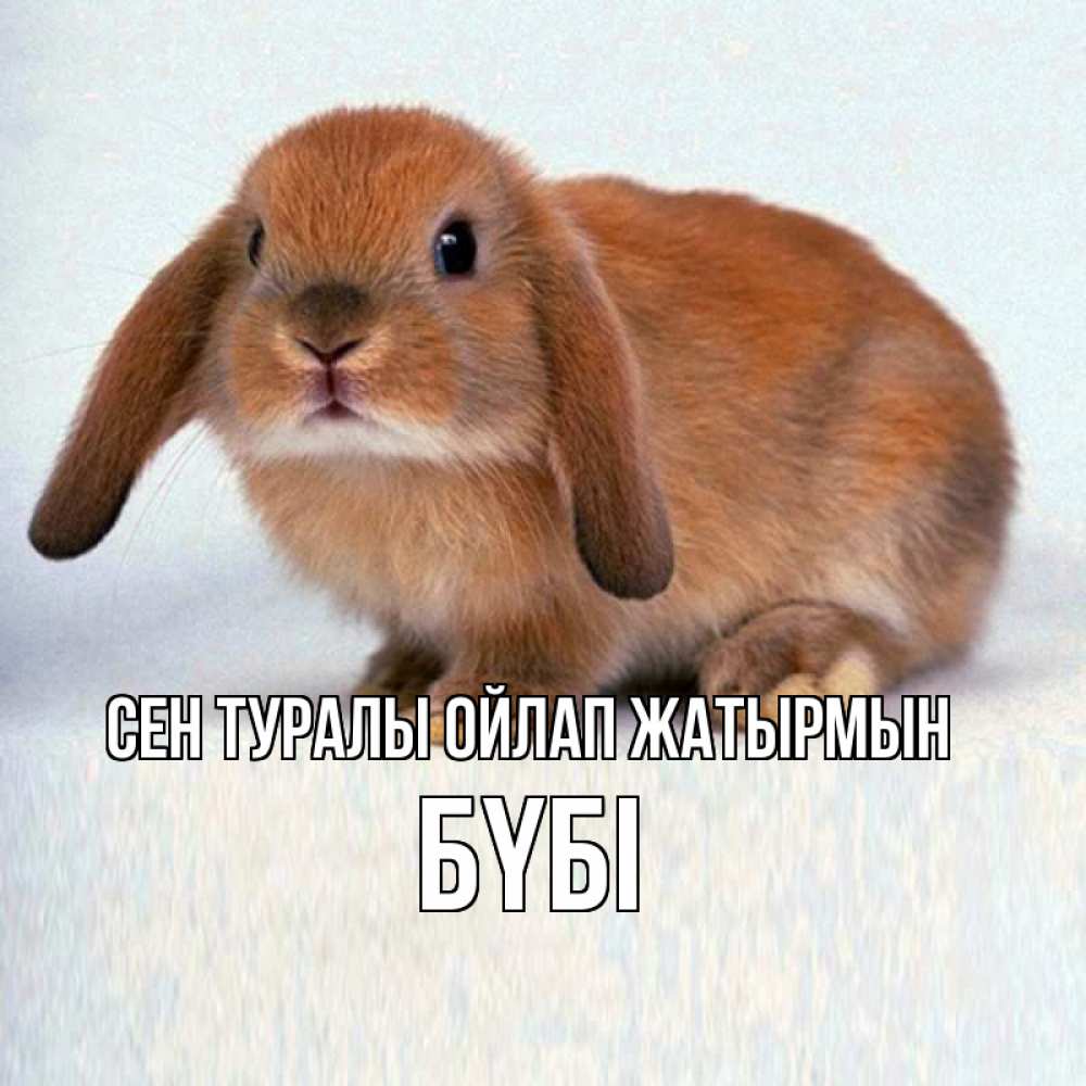 Күн сайын ашық хат с именем, БҮБІ Сен туралы ойлап жатырмын кроль коричневый Онлайн тегін жүктеп алу тілектері бар керемет карта 
