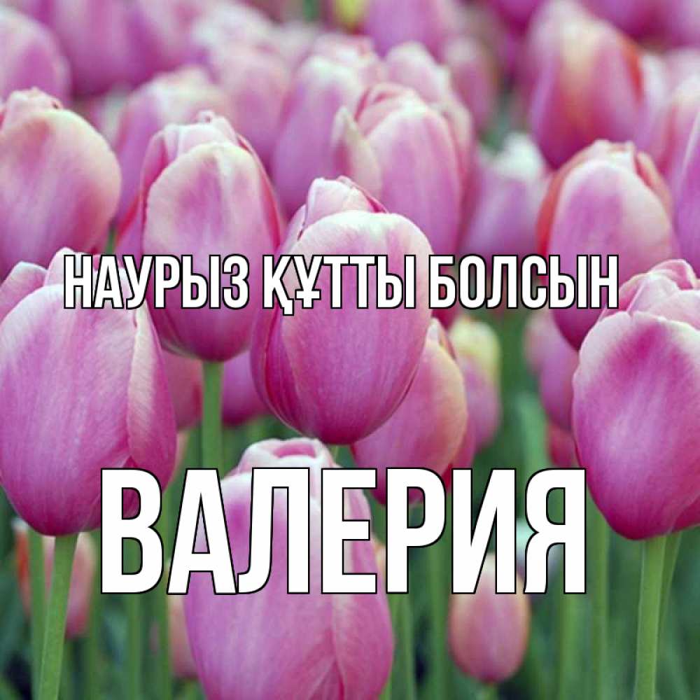 Күн сайын ашық хат с именем, Валерия Наурыз құтты болсын на наурыз  день 3 Онлайн тегін жүктеп алу тілектері бар керемет карта 