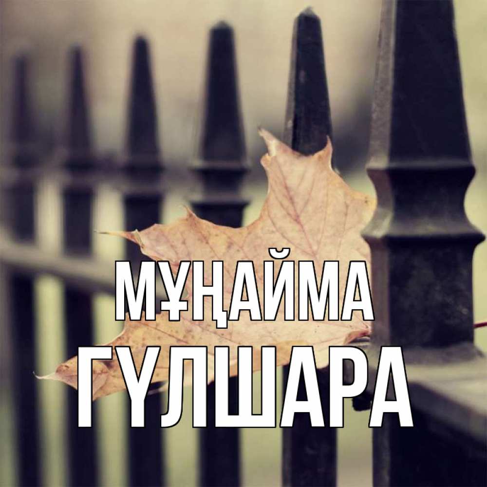 Күн сайын ашық хат с именем, ГҮЛШАРА Мұңайма лист клена Онлайн тегін жүктеп алу тілектері бар керемет карта 