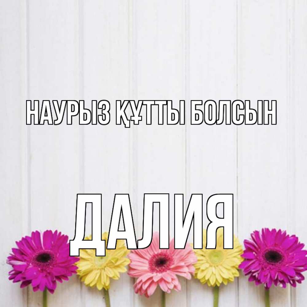 Күн сайын ашық хат с именем, Далия Наурыз құтты болсын женщинам 1 Онлайн тегін жүктеп алу тілектері бар керемет карта 