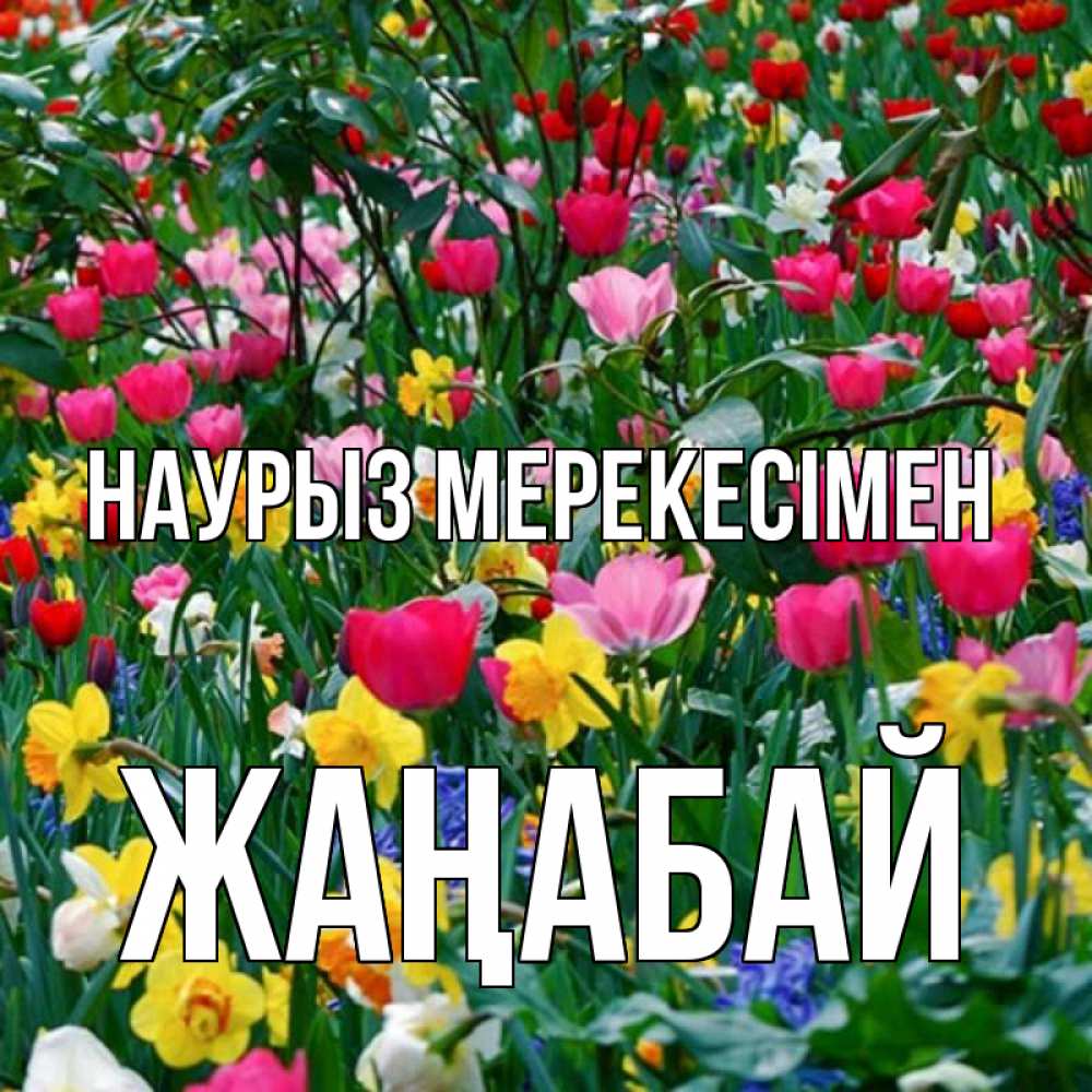 Күн сайын ашық хат с именем, Жаңабай Наурыз мерекесімен с наурызом праздником весны поздравления для женщины Онлайн тегін жүктеп алу тілектері бар керемет карта 
