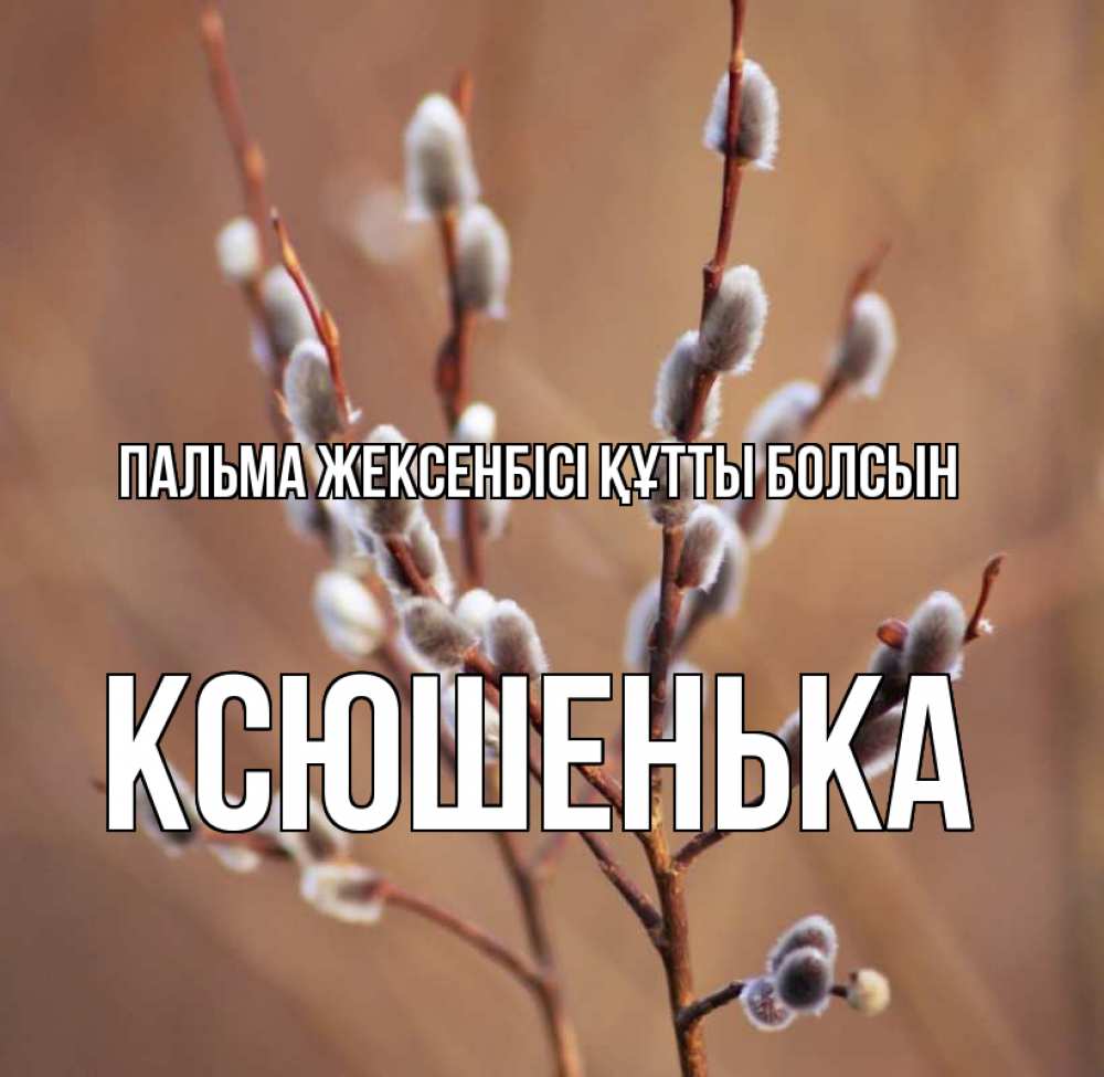 Күн сайын ашық хат с именем, Ксюшенька Пальма жексенбісі құтты болсын верба Онлайн тегін жүктеп алу тілектері бар керемет карта 