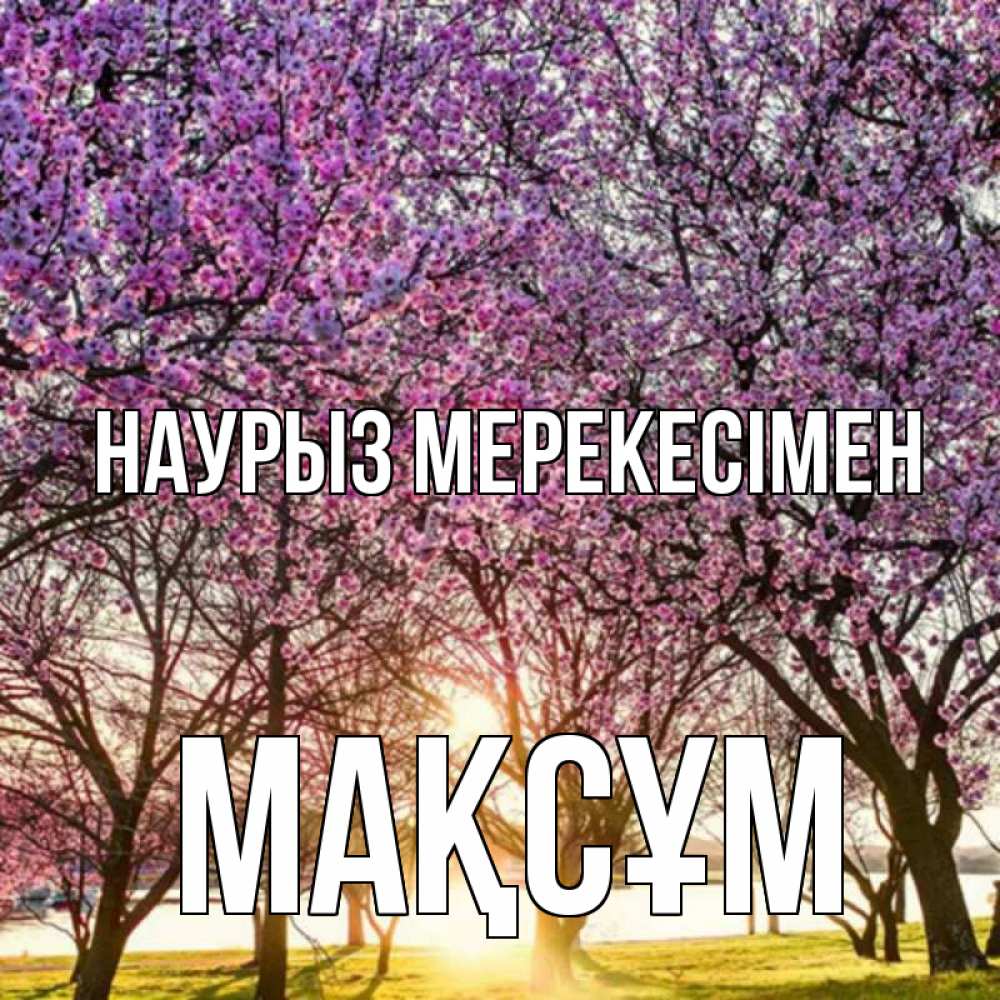 Күн сайын ашық хат с именем, МАҚСҰМ Наурыз мерекесімен праздник весны наурыз Онлайн тегін жүктеп алу тілектері бар керемет карта 