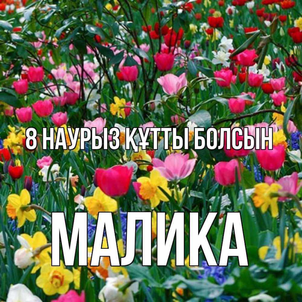 Күн сайын ашық хат с именем, Малика 8 наурыз құтты болсын с международным женским днем поздравления для женщины Онлайн тегін жүктеп алу тілектері бар керемет карта 