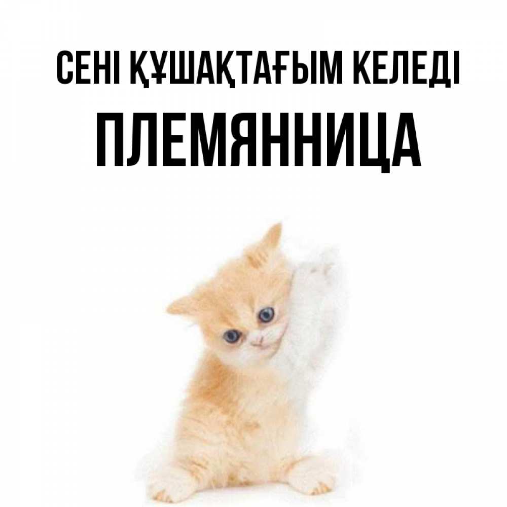 Күн сайын ашық хат с именем, Племянница сені құшақтағым келеді я хочу очень скорее обнимаешек Онлайн тегін жүктеп алу тілектері бар керемет карта 