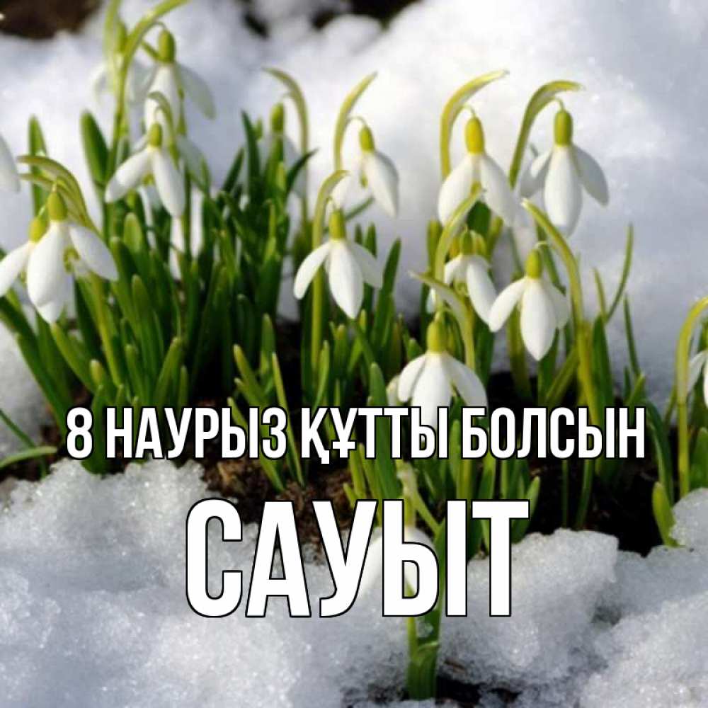 Күн сайын ашық хат с именем, САУЫТ 8 наурыз құтты болсын цветы весенние Онлайн тегін жүктеп алу тілектері бар керемет карта 