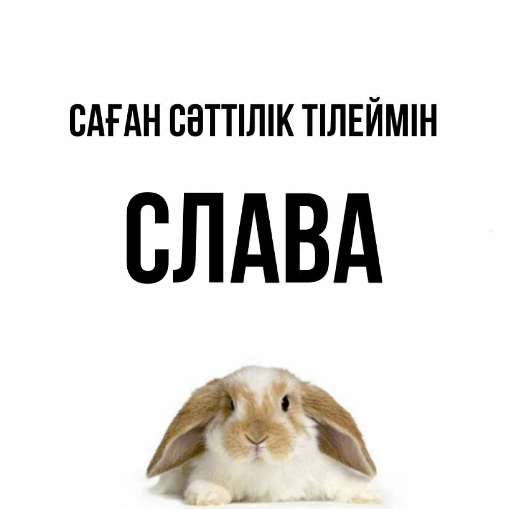 Күн сайын ашық хат с именем, Слава Саған сәттілік тілеймін открытки с произвольным текстом который можно вставить в открытку и создать ее самостоятельно бесплатно онлайн Онлайн тегін жүктеп алу тілектері бар керемет карта 