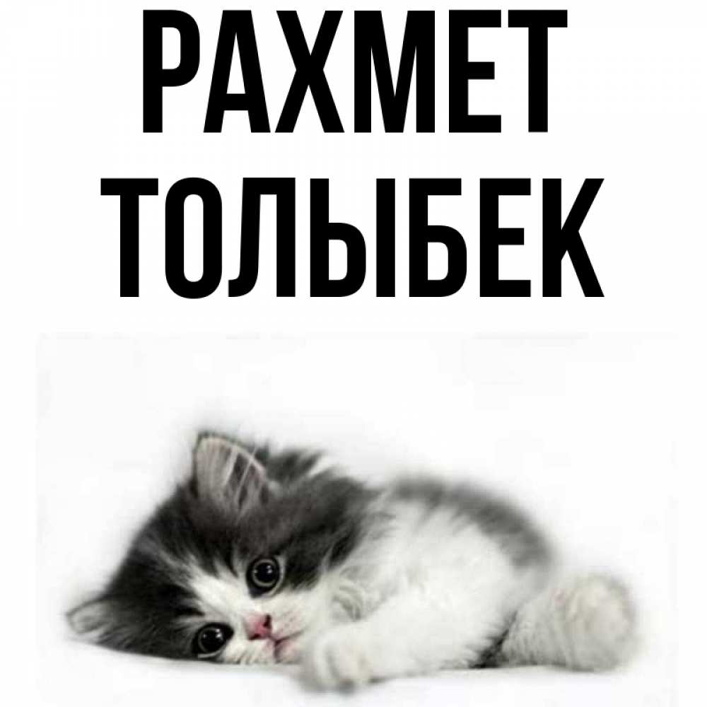 Күн сайын ашық хат с именем, ТОЛЫБЕК рахмет черный и белый кот Онлайн тегін жүктеп алу тілектері бар керемет карта 