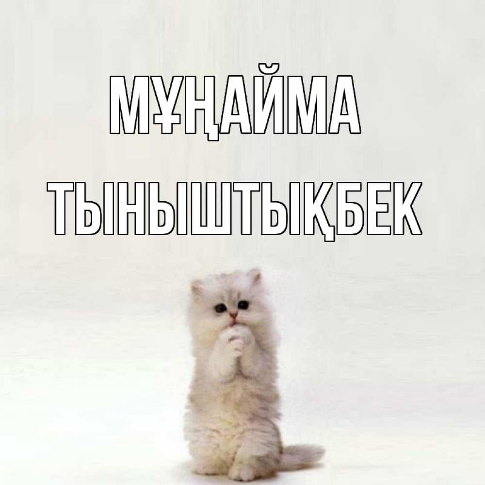 Күн сайын ашық хат с именем, ТЫНЫШТЫҚБЕК Мұңайма грустный кот Онлайн тегін жүктеп алу тілектері бар керемет карта 