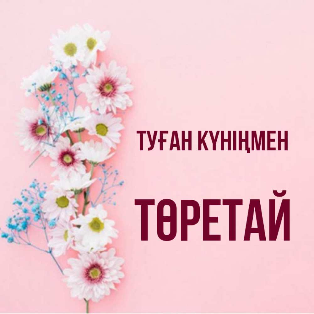 Күн сайын ашық хат с именем, Төретай Туған күніңмен Родная моя с днем рождения тебя картинка с цветами белыми и голубыми Онлайн тегін жүктеп алу тілектері бар керемет карта 