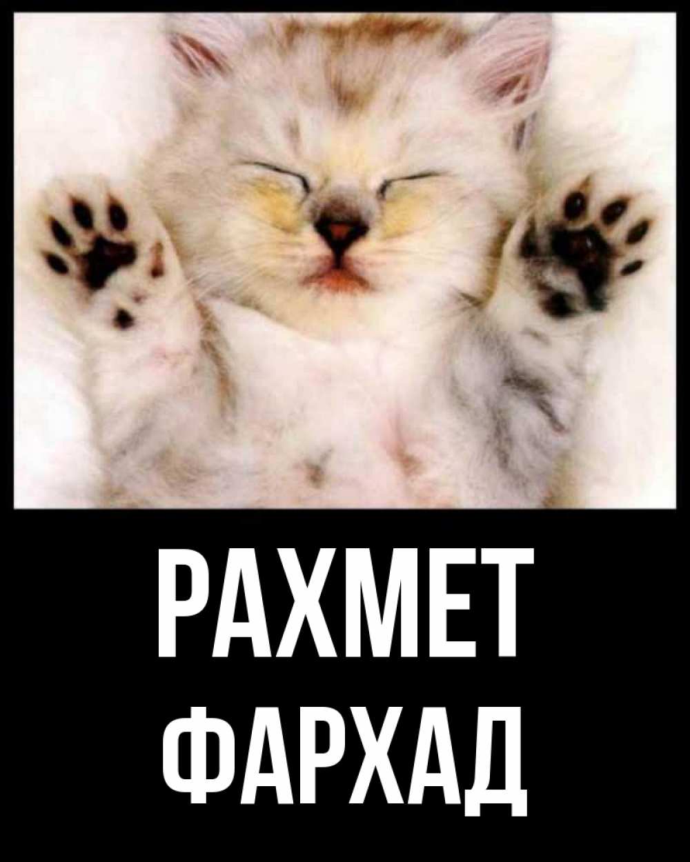 Күн сайын ашық хат с именем, Фархад рахмет маленький котенок Онлайн тегін жүктеп алу тілектері бар керемет карта 