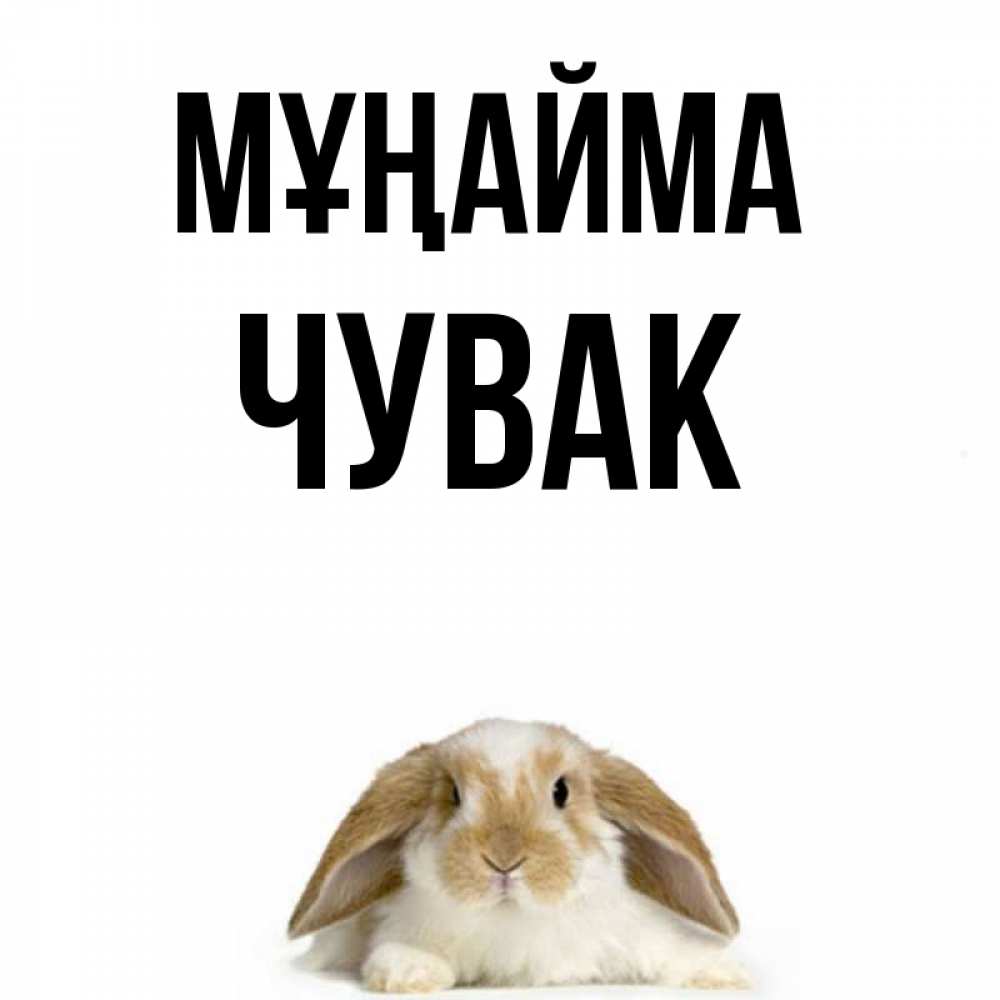 Күн сайын ашық хат с именем, Чувак Мұңайма коричнево белый заяц с большими ушками Онлайн тегін жүктеп алу тілектері бар керемет карта 