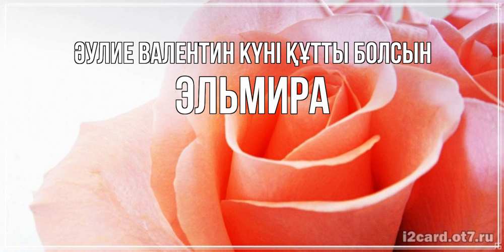 Күн сайын ашық хат с именем, Эльмира Әулие Валентин күні құтты болсын открытка на день Святого Валентина с розовой розой Онлайн тегін жүктеп алу тілектері бар керемет карта 