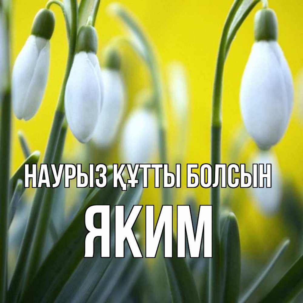 Күн сайын ашық хат с именем, Яким Наурыз құтты болсын весенние цветы Онлайн тегін жүктеп алу тілектері бар керемет карта 