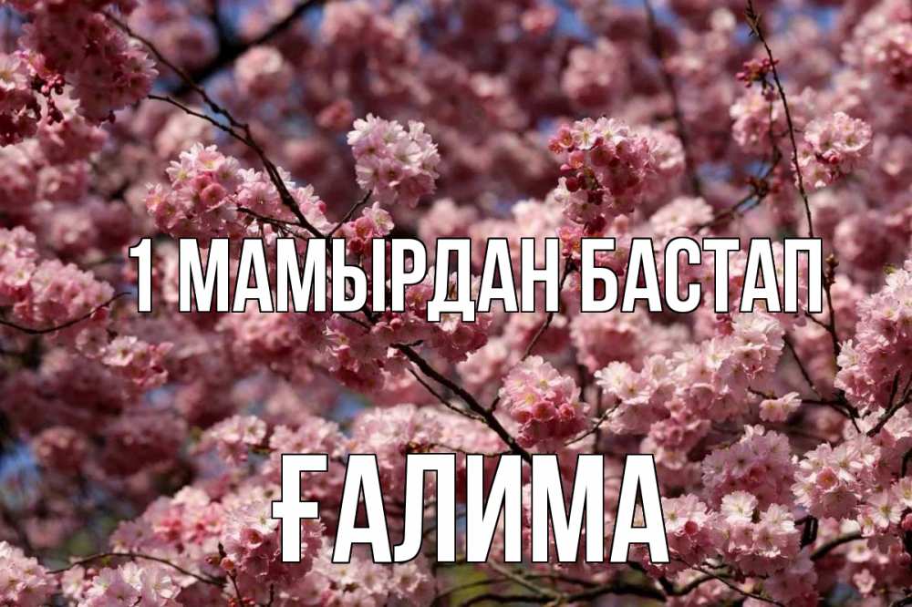 Күн сайын ашық хат с именем, ҒАЛИМА 1 мамырдан бастап С 1 мая Онлайн тегін жүктеп алу тілектері бар керемет карта 