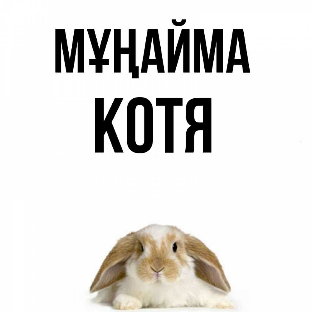 Күн сайын ашық хат с именем, Котя Мұңайма коричнево белый заяц с большими ушками Онлайн тегін жүктеп алу тілектері бар керемет карта 