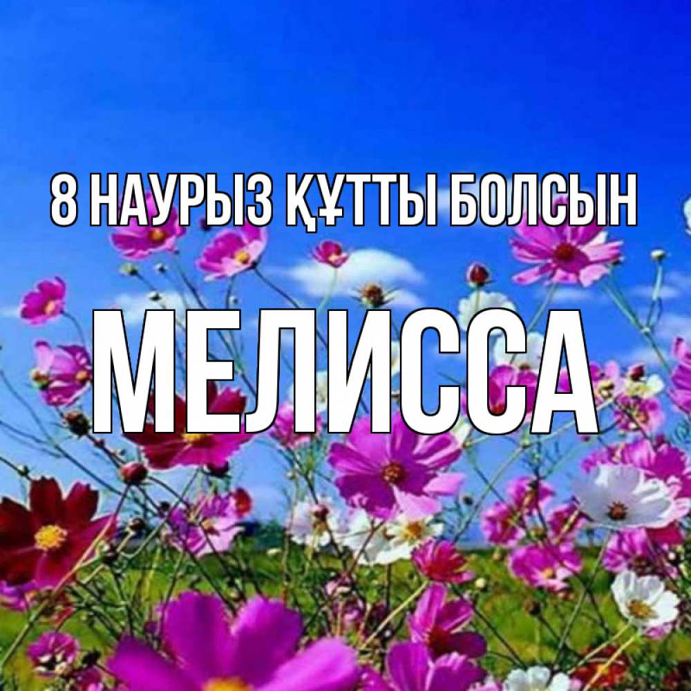 Күн сайын ашық хат с именем, Мелисса 8 наурыз құтты болсын цветы Онлайн тегін жүктеп алу тілектері бар керемет карта 