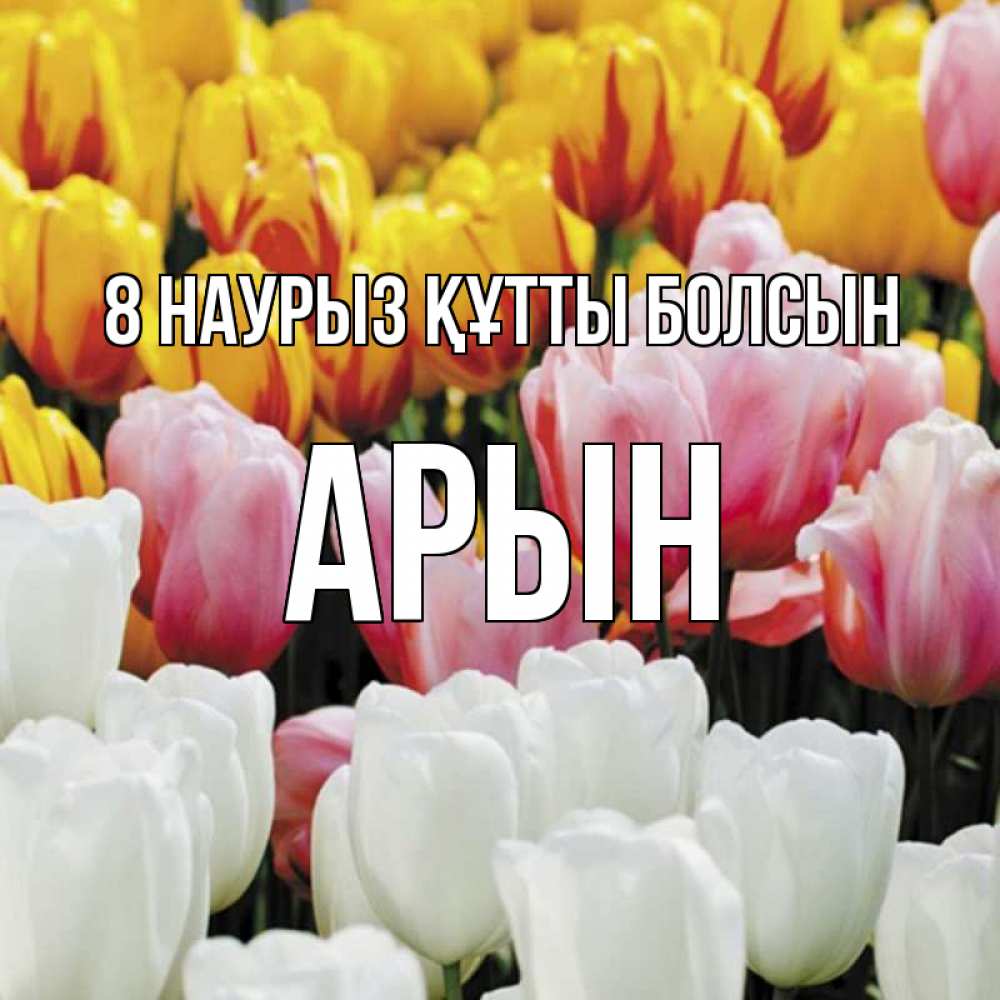 Күн сайын ашық хат с именем, Арын 8 наурыз құтты болсын разноцветные цветы Онлайн тегін жүктеп алу тілектері бар керемет карта 