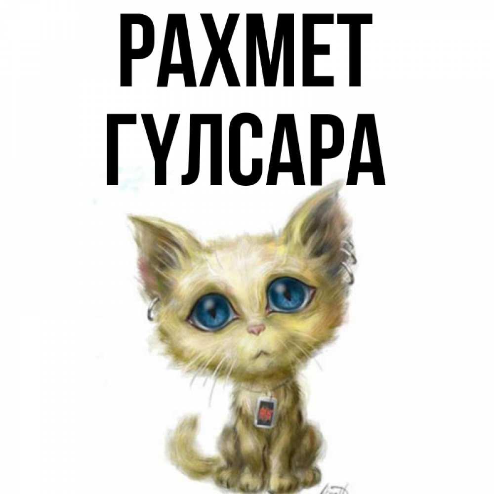 Күн сайын ашық хат с именем, ГҮЛСАРА рахмет рисованный кот благодарит вас Онлайн тегін жүктеп алу тілектері бар керемет карта 