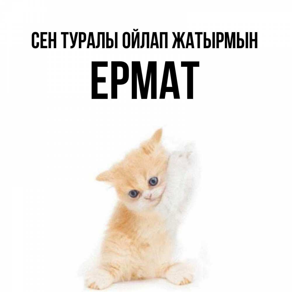 Күн сайын ашық хат с именем, Ермат Сен туралы ойлап жатырмын зверушки и милота Онлайн тегін жүктеп алу тілектері бар керемет карта 